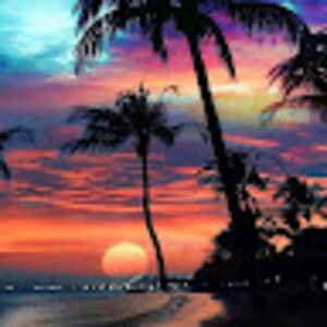 Meet your Posher, Nic